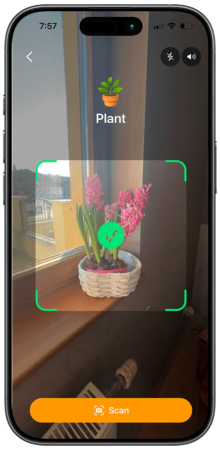 1% Alarm showing successful object verification